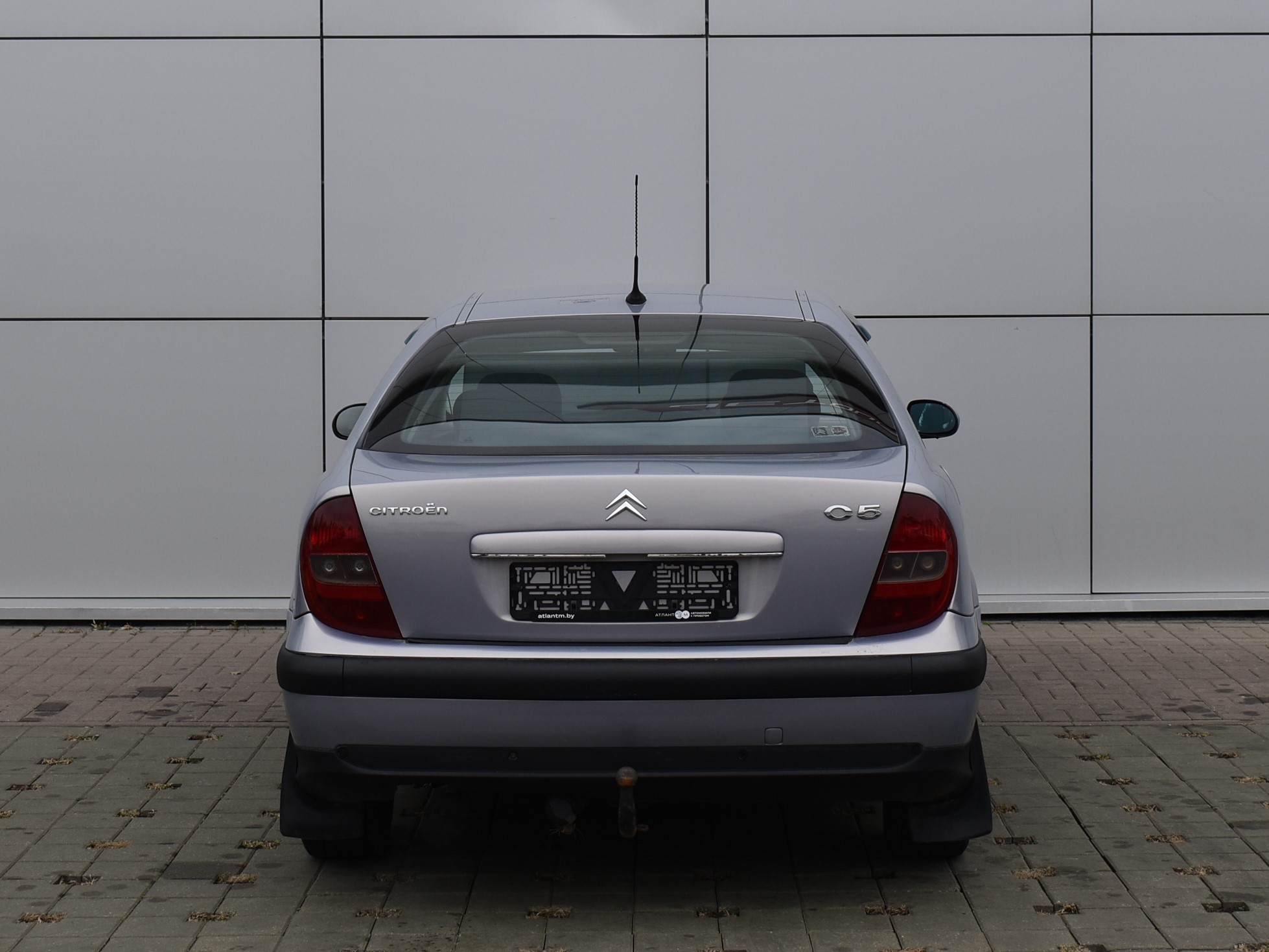  C5