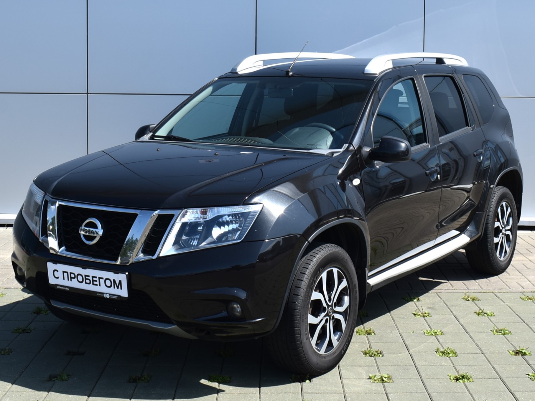 Terrano