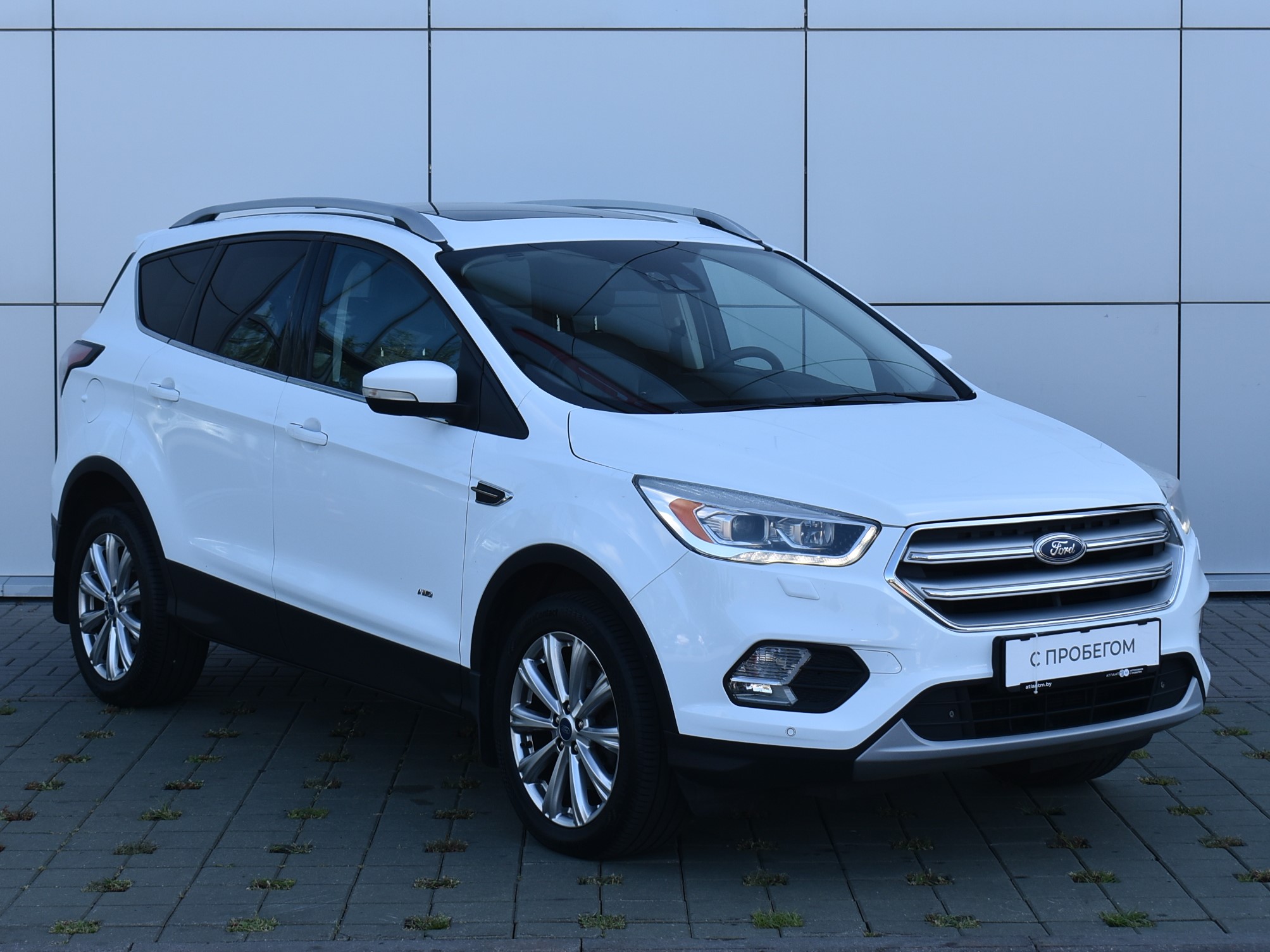  Kuga