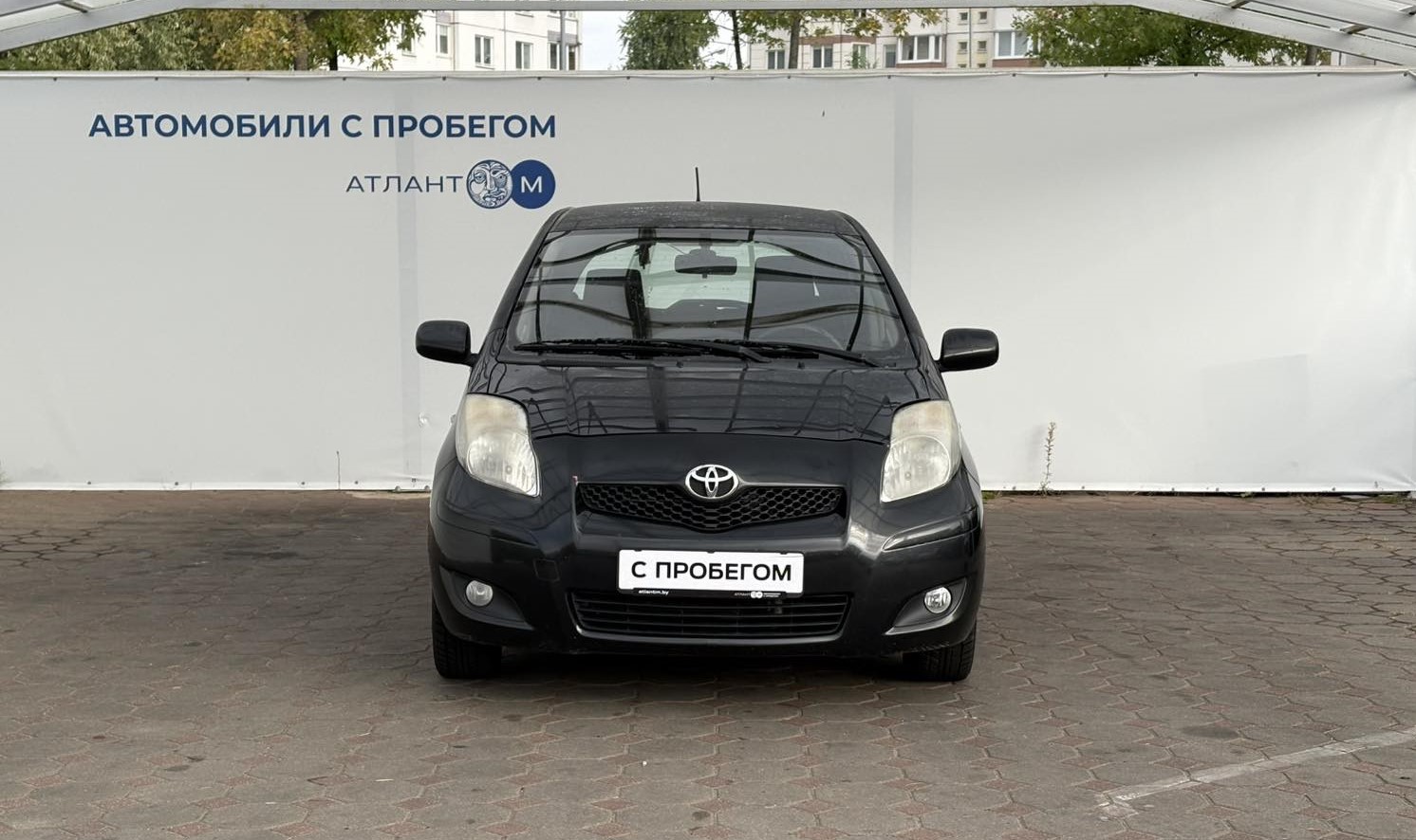  YARIS