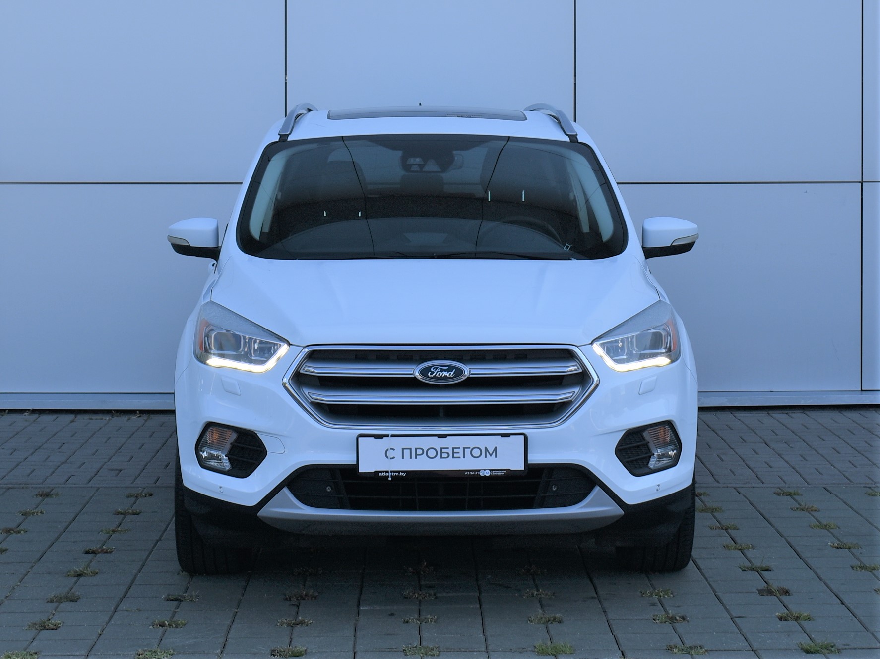  Kuga