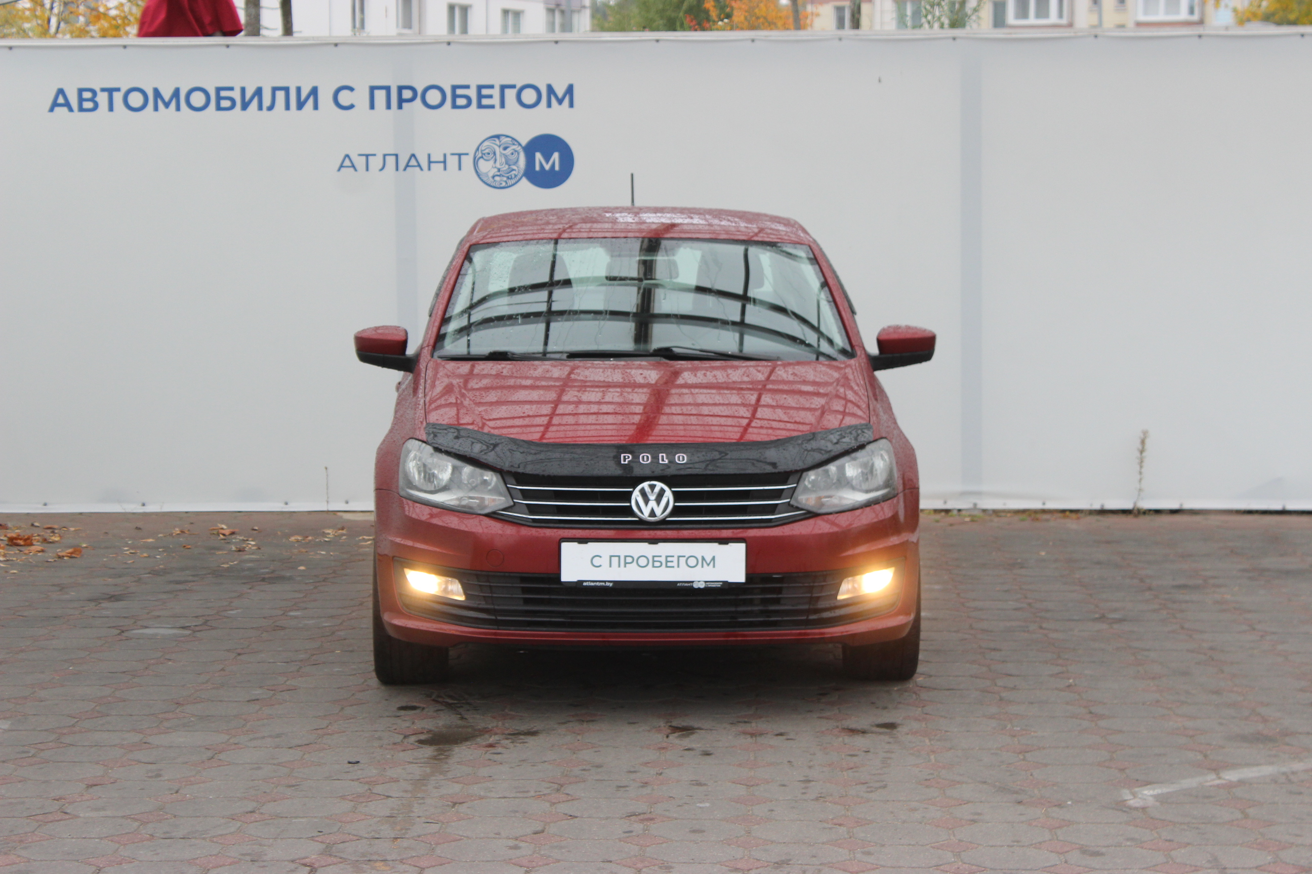  POLO