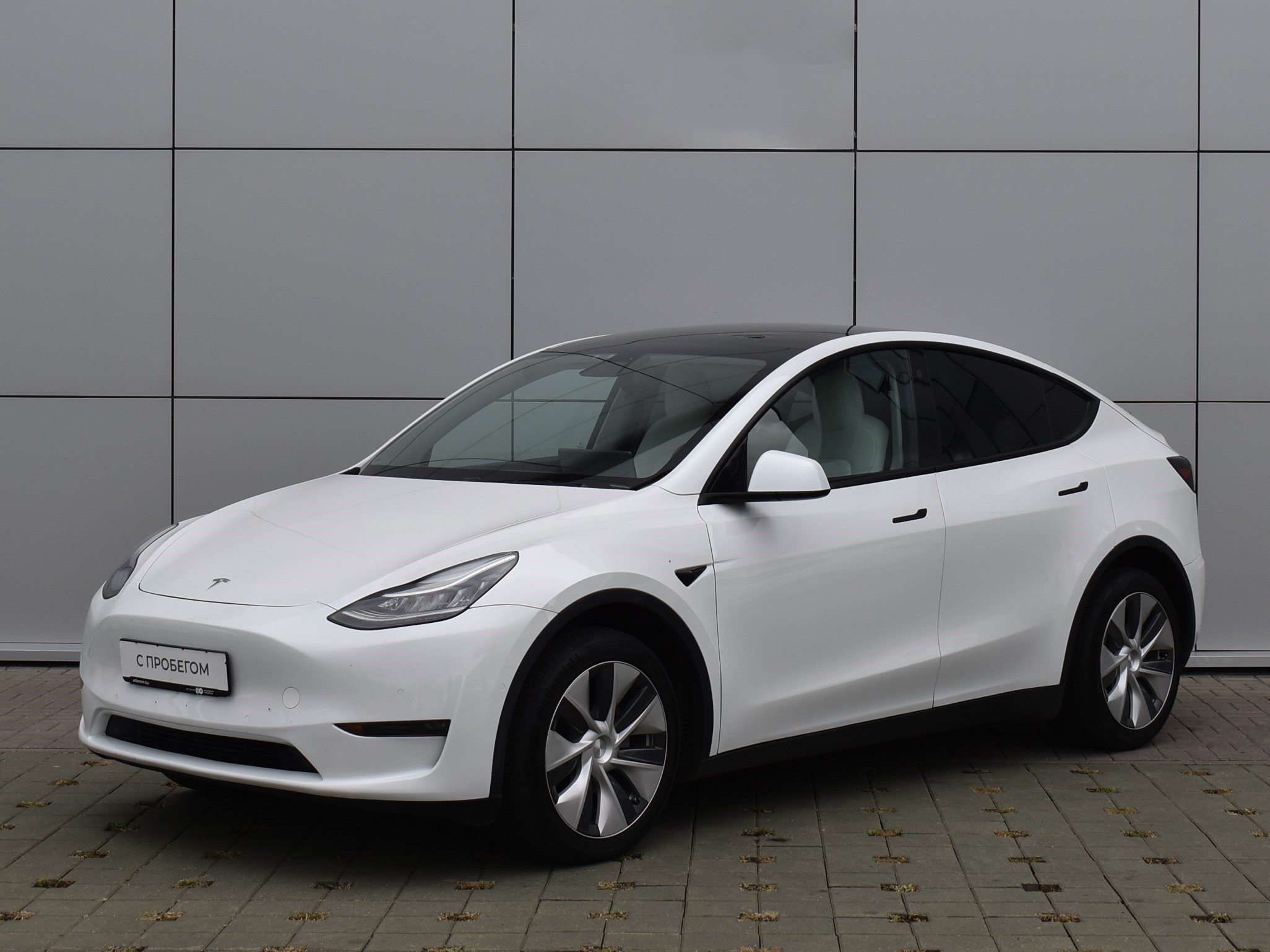 Model Y