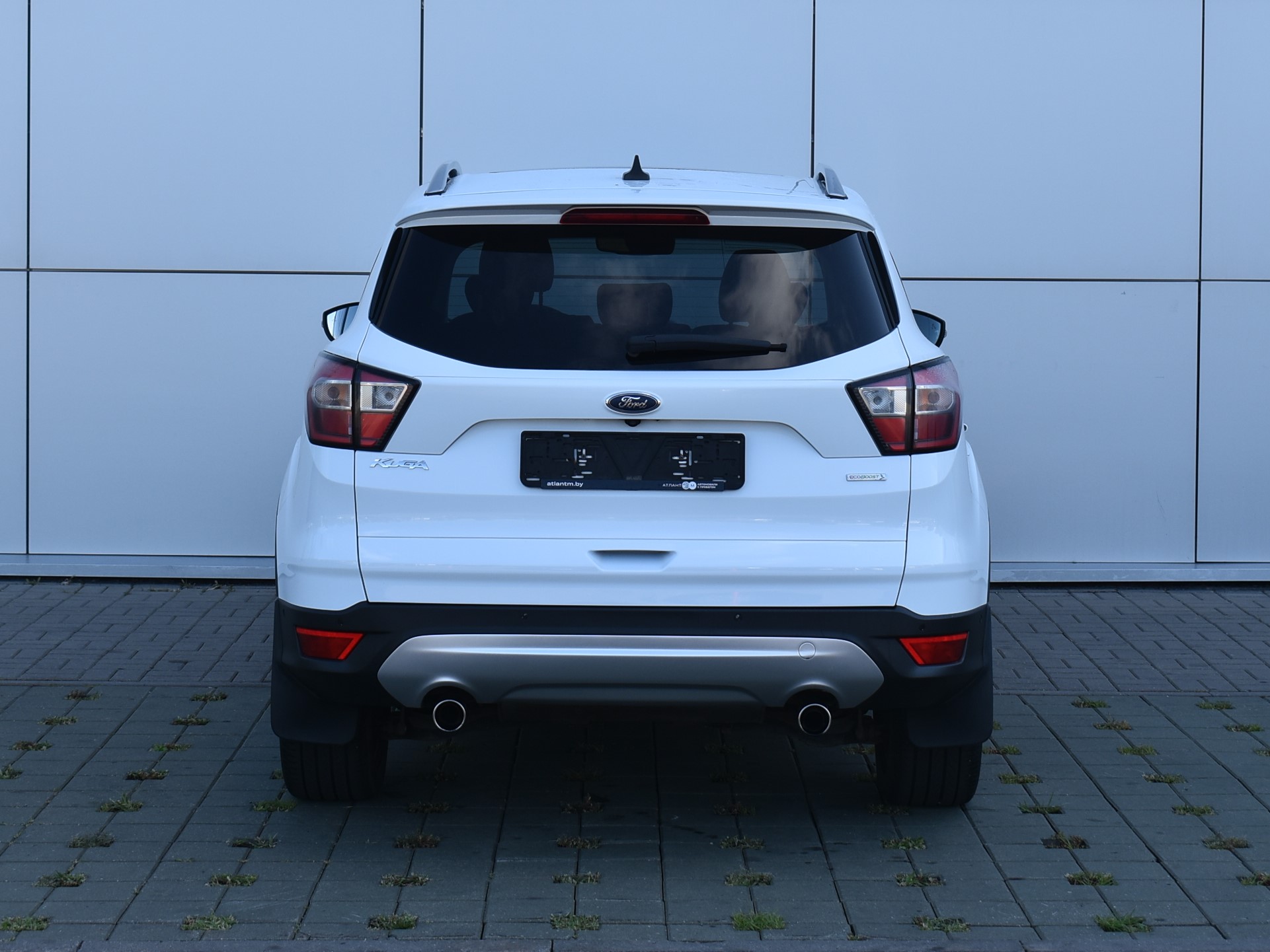  Kuga
