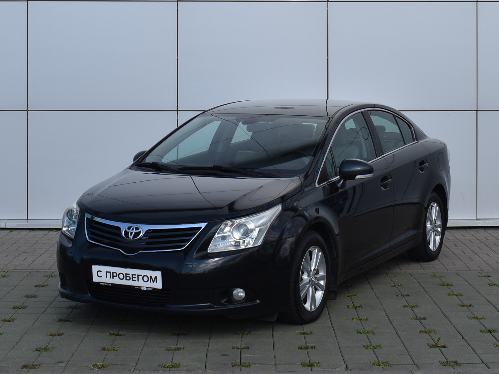 Avensis