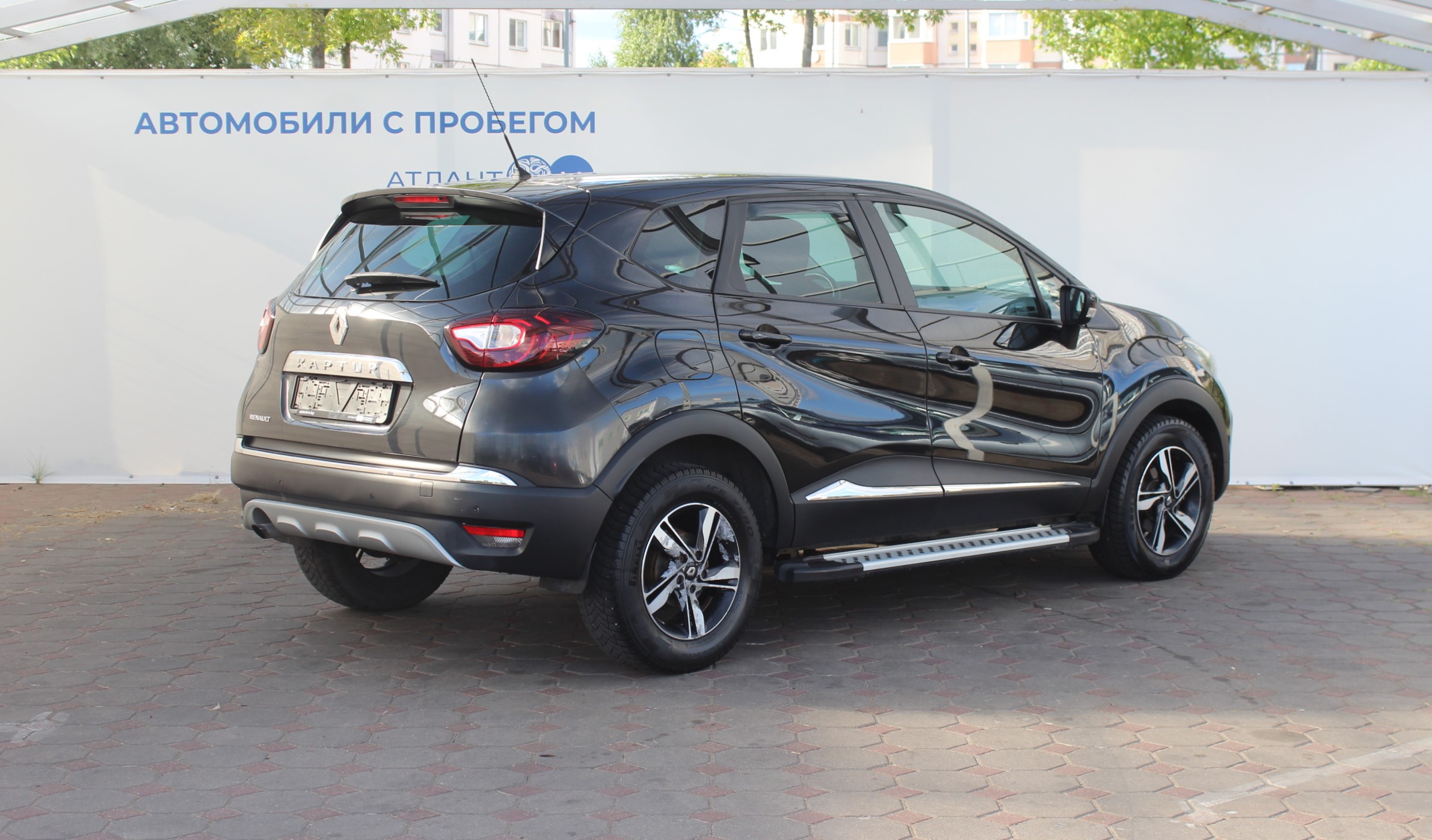  Kaptur