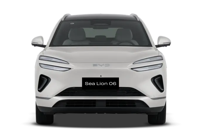  Sea Lion 06