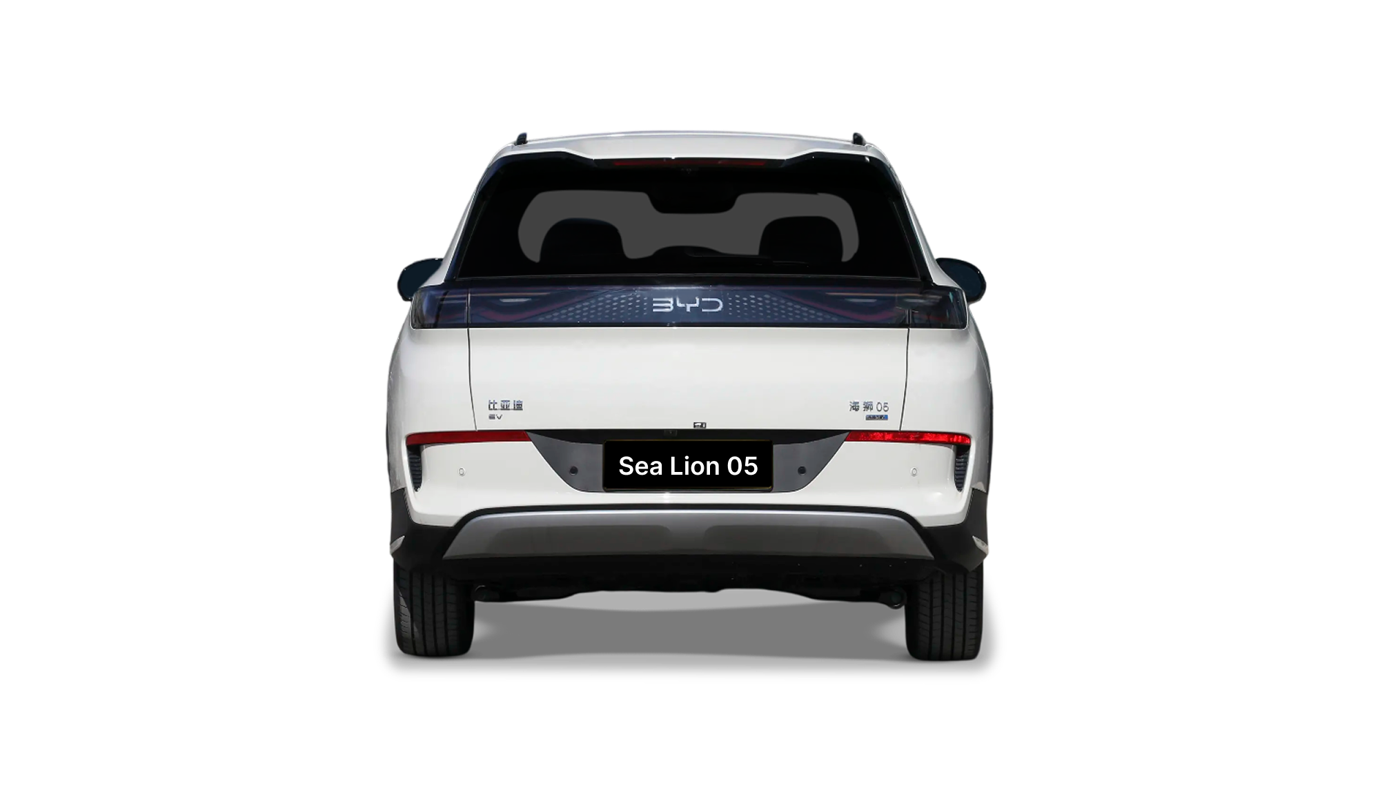 Sea Lion 05