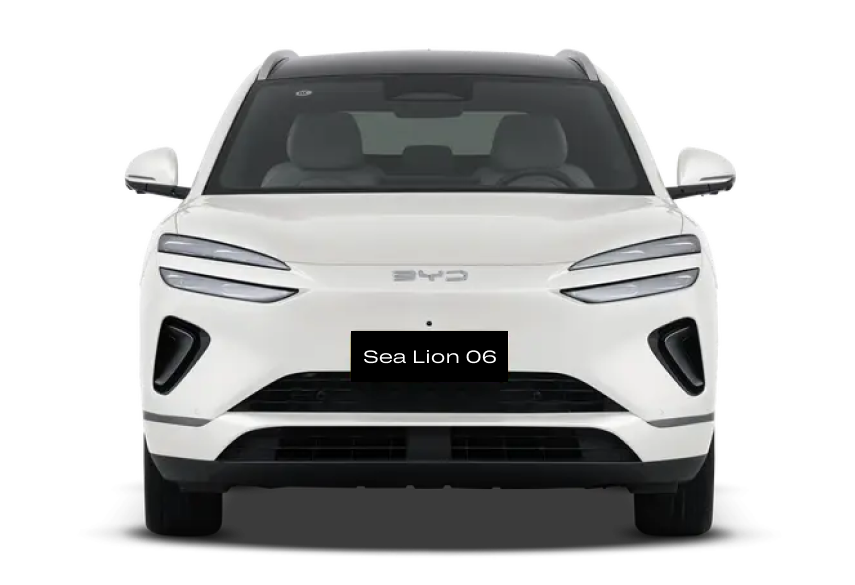  Sea Lion 06