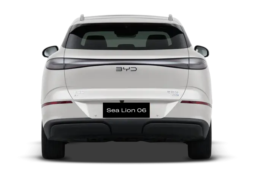  Sea Lion 06