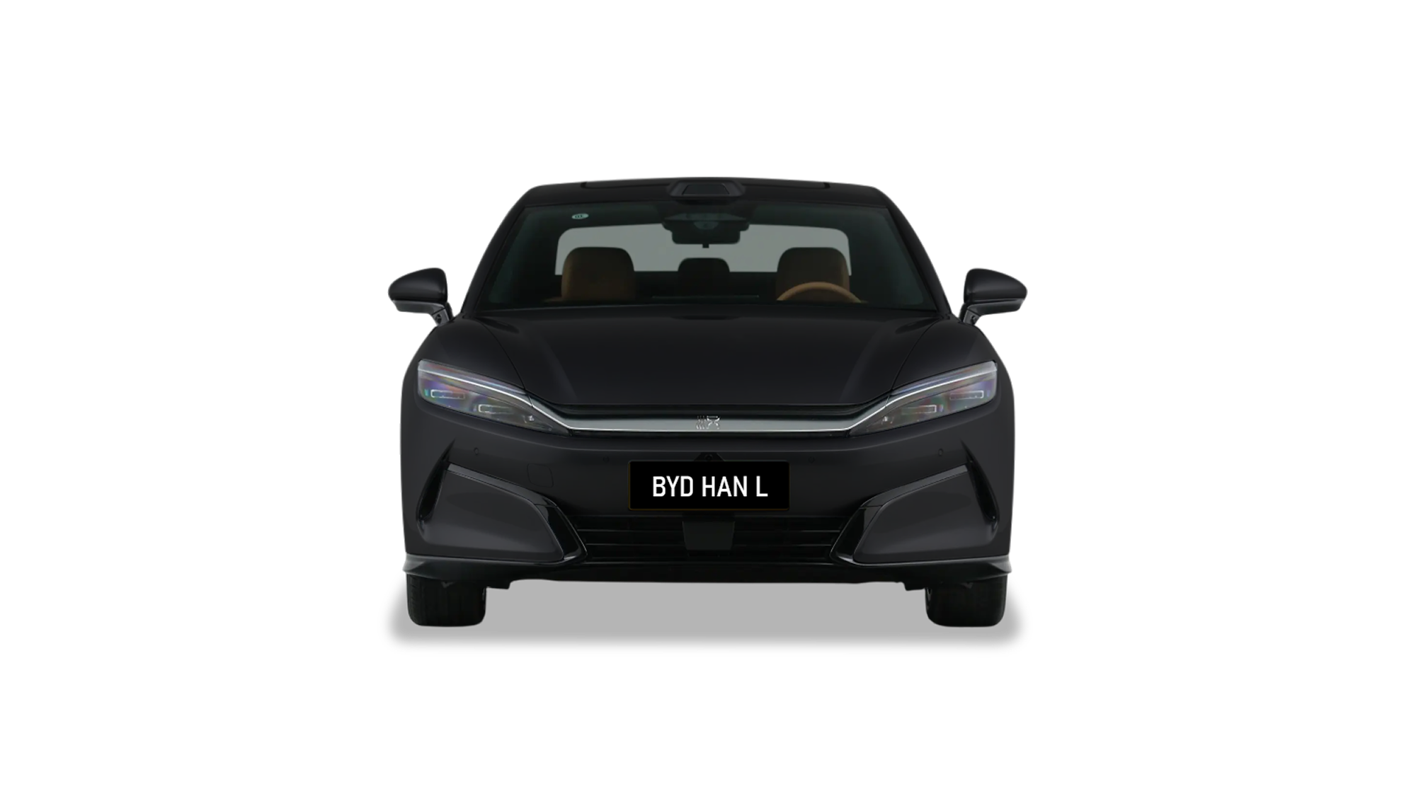  Han L