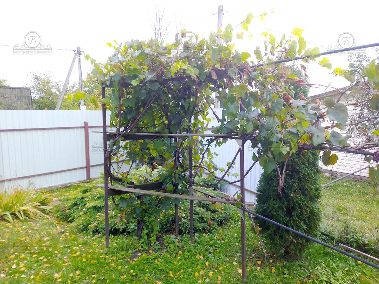 Фото объекта 24