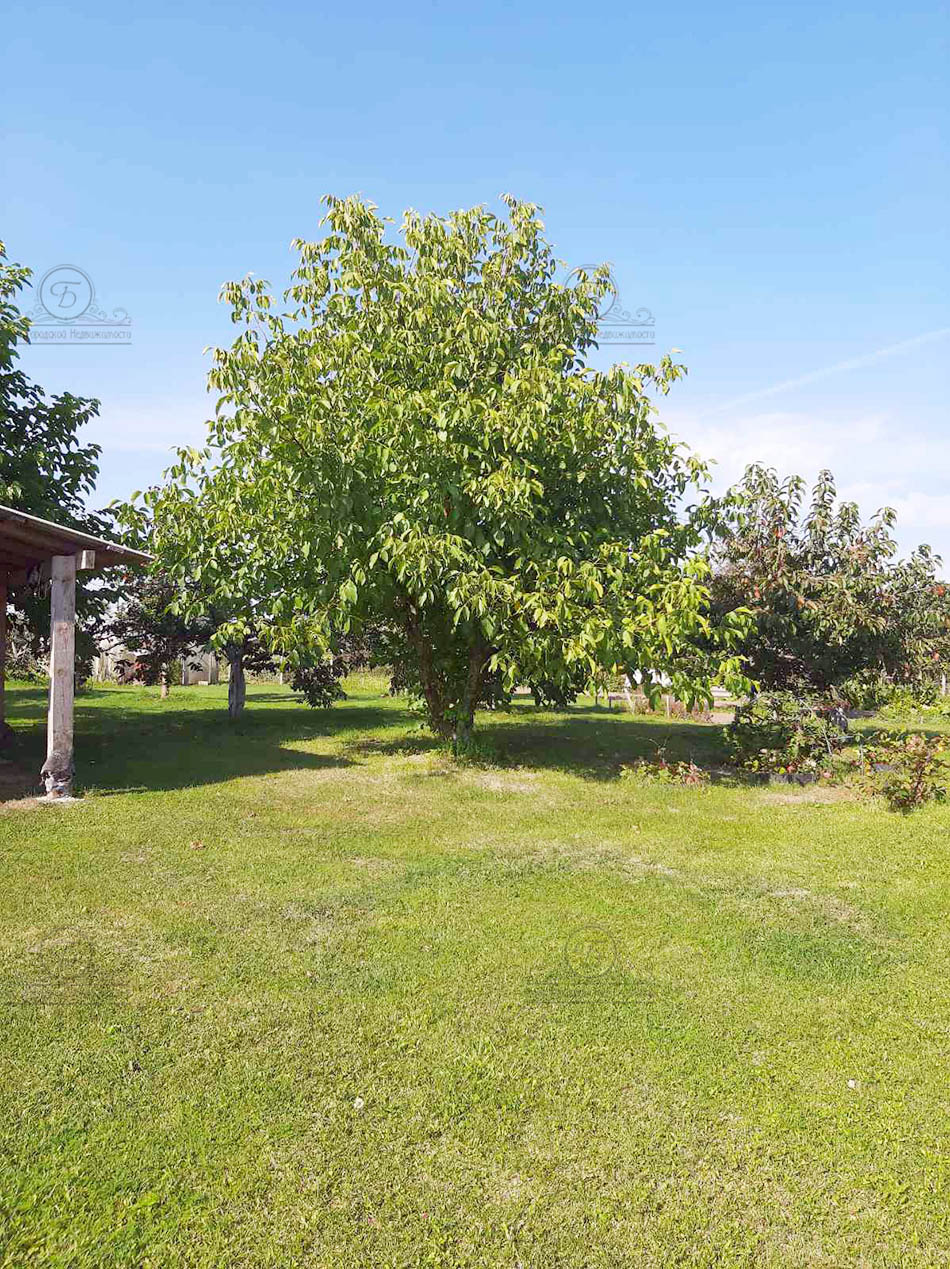 Фото объекта 25