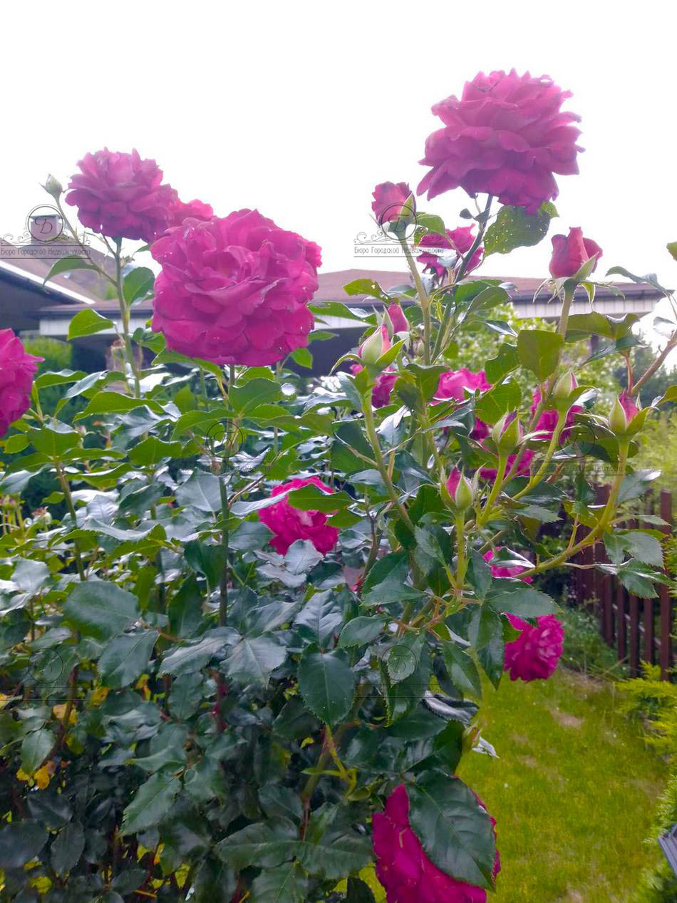 Фото объекта 22