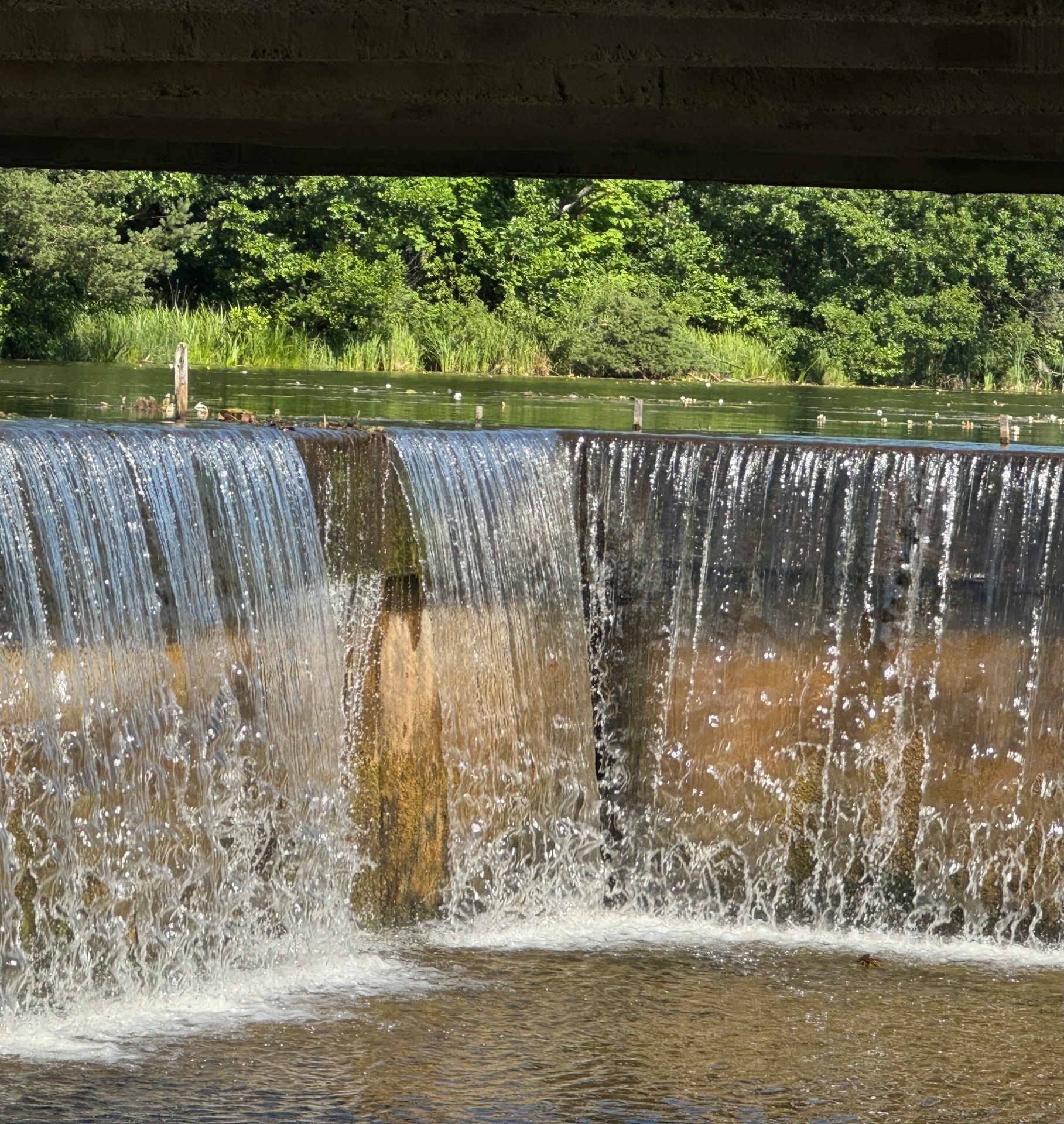 Фото объекта 3