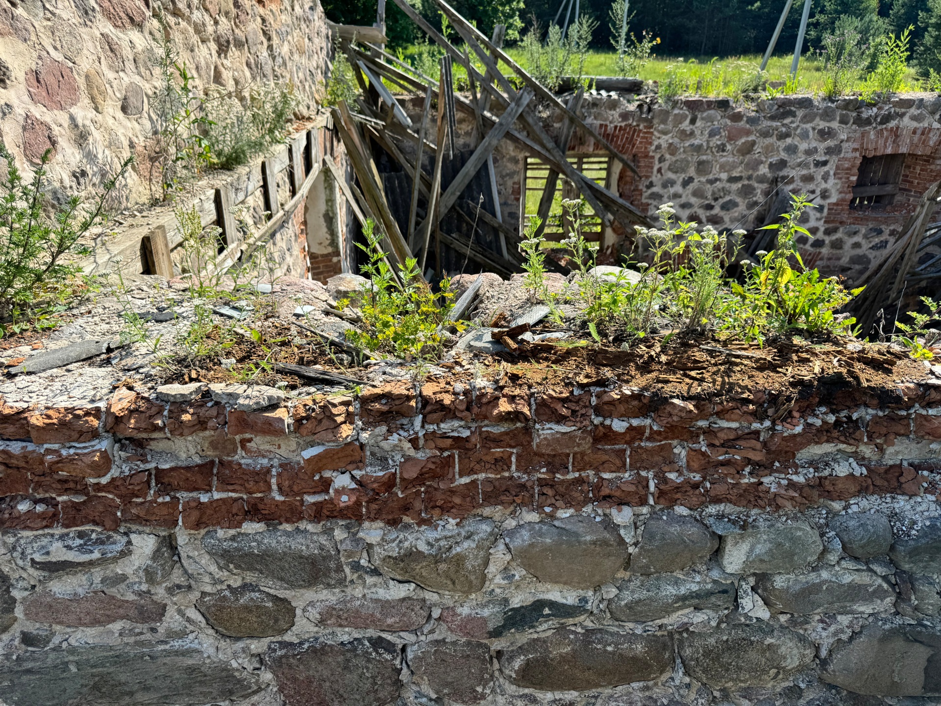 Фото объекта 12