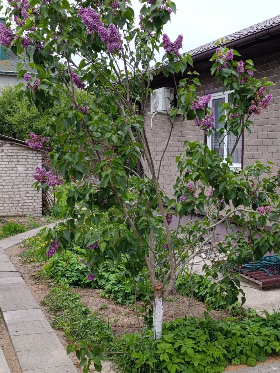 Фото объекта 14