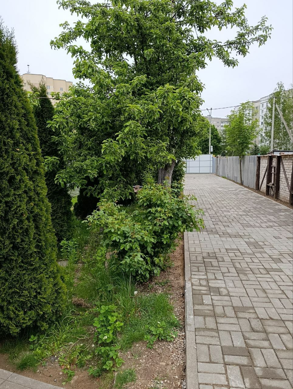 Фото объекта 2