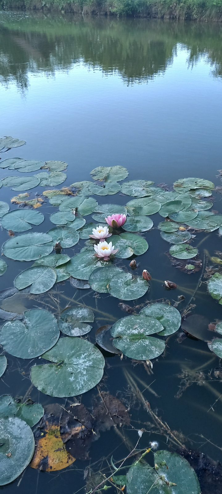 Фото объекта 21