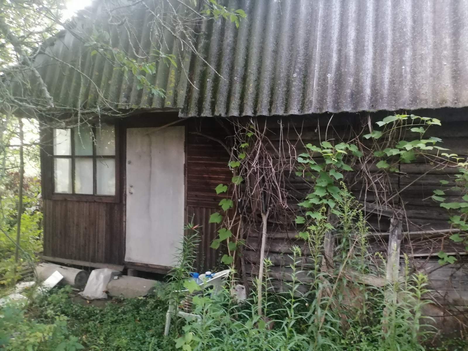 Фото объекта 5