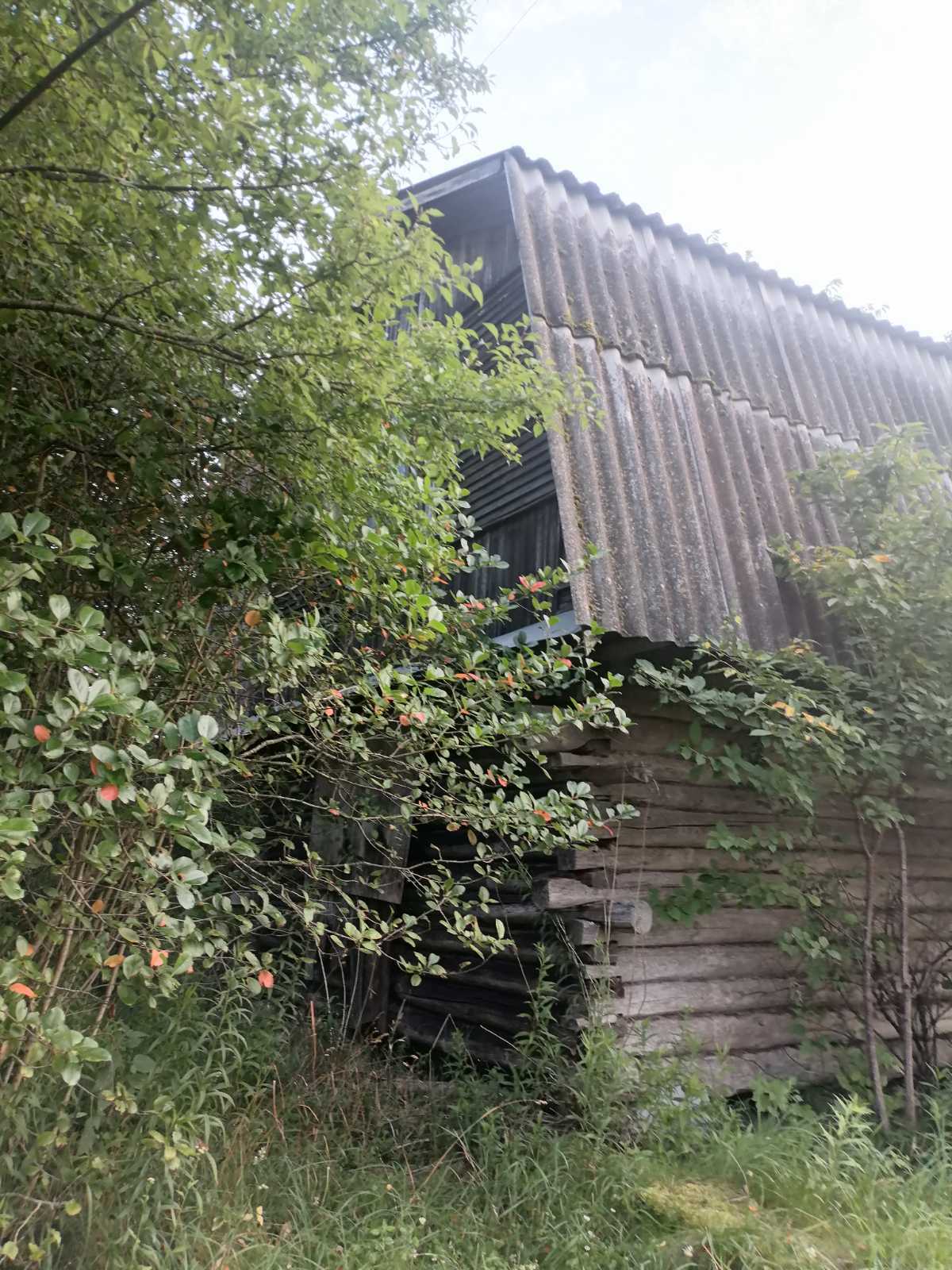 Фото объекта 4