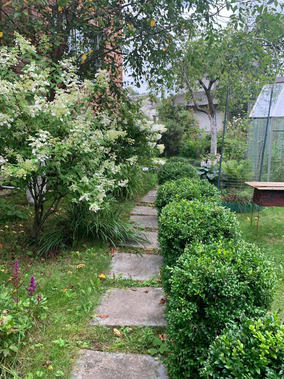 Фото объекта 25