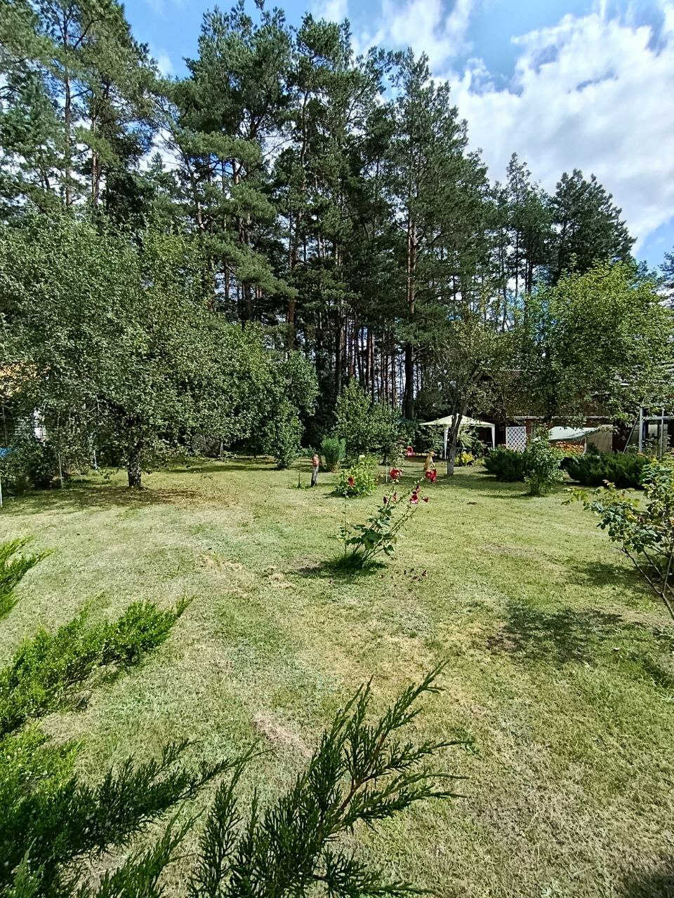 Фото объекта 26