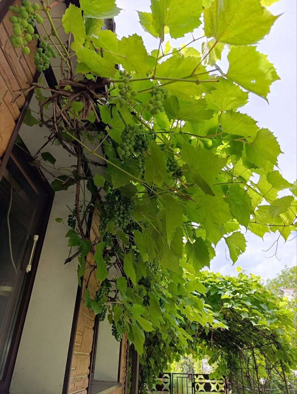 Фото объекта 30