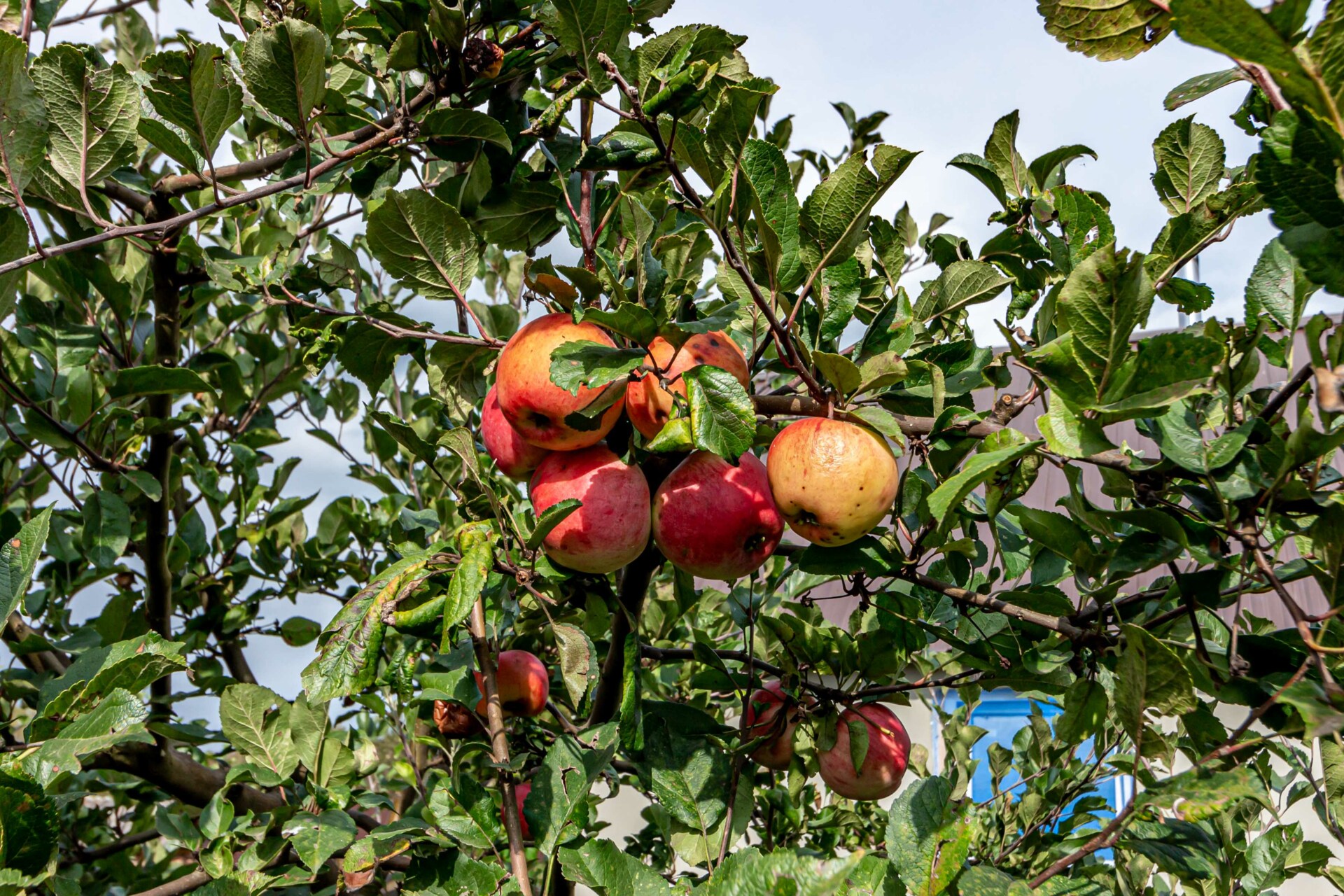 Фото объекта 21