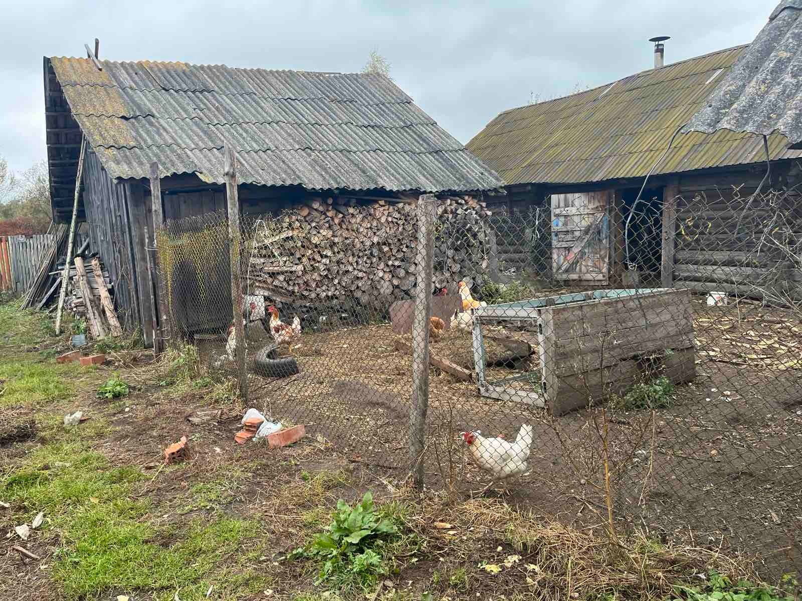 Фото объекта 6