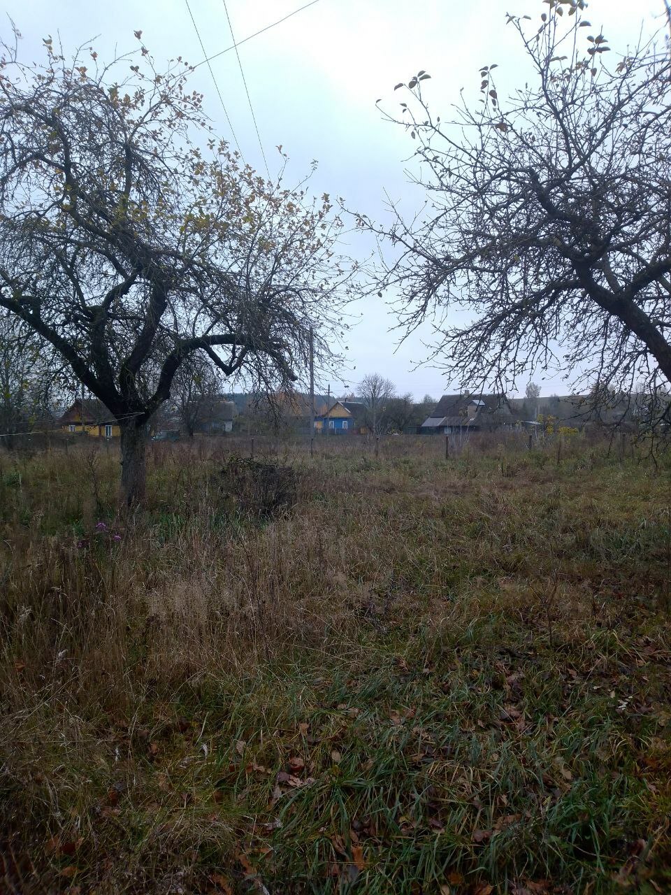 Фото объекта 14