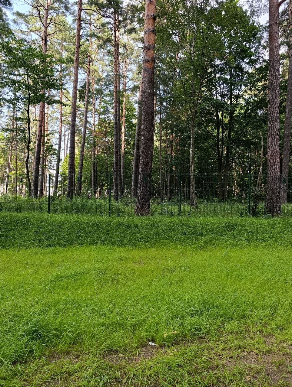 Фото объекта 16