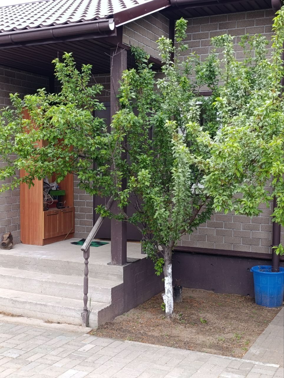 Фото объекта 14