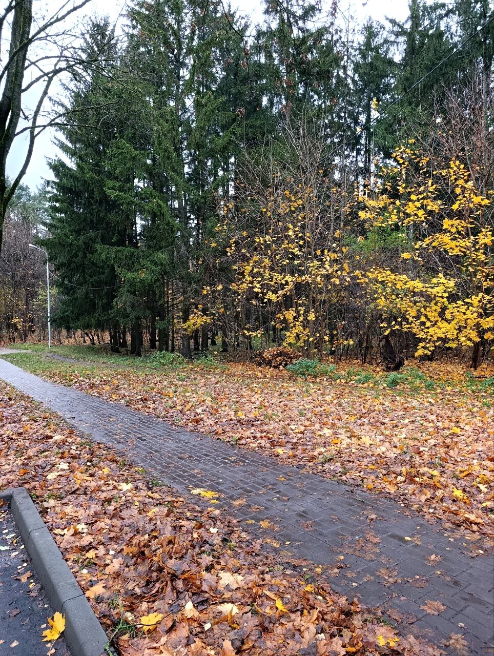 Фото объекта 11