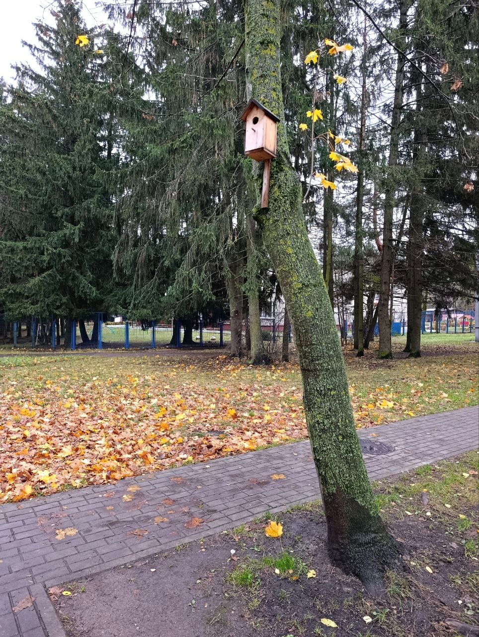 Фото объекта 12