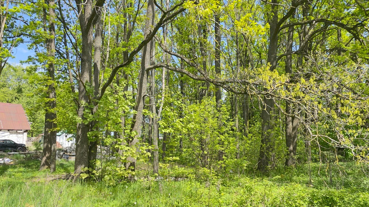 Фото объекта 5