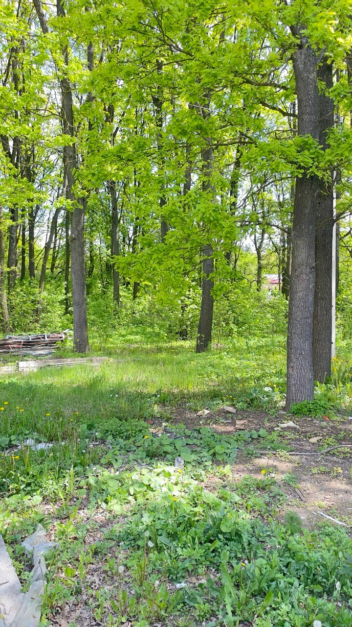 Фото объекта 6