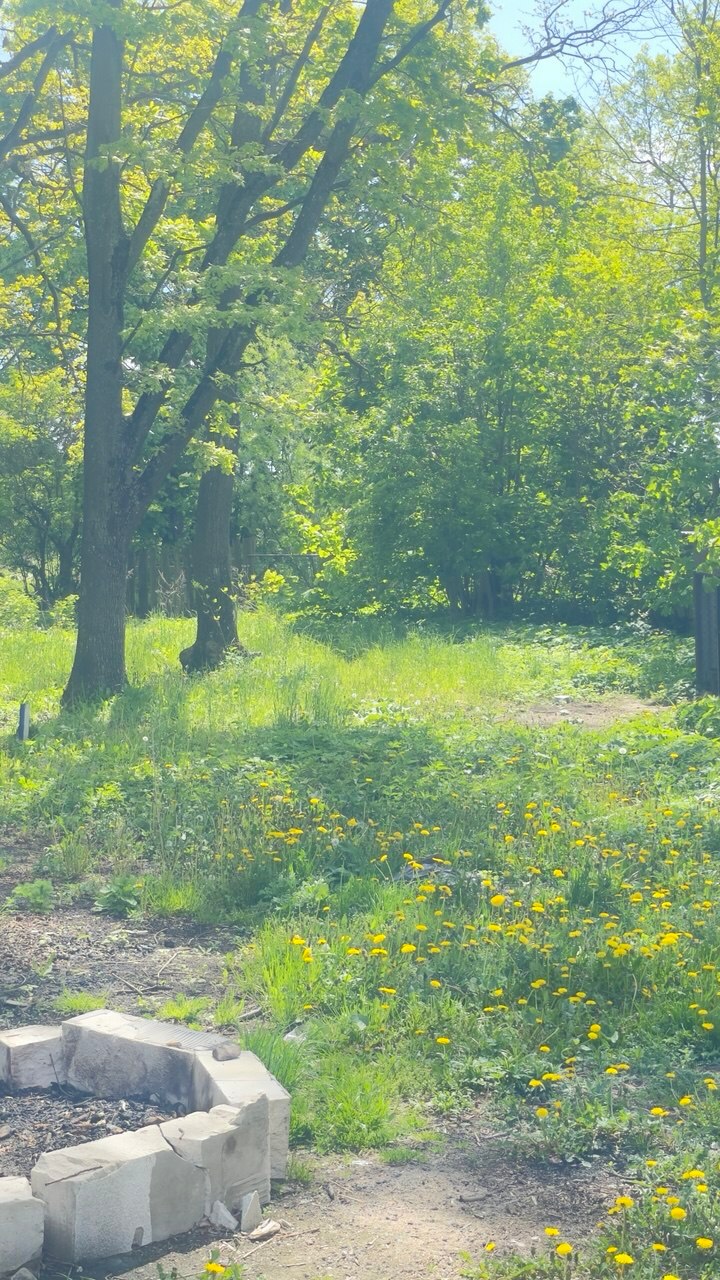 Фото объекта 9