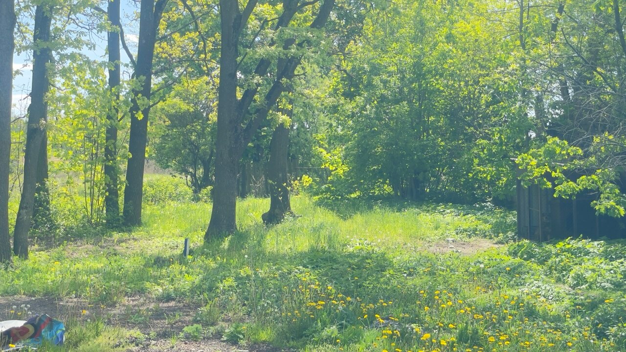 Фото объекта 11