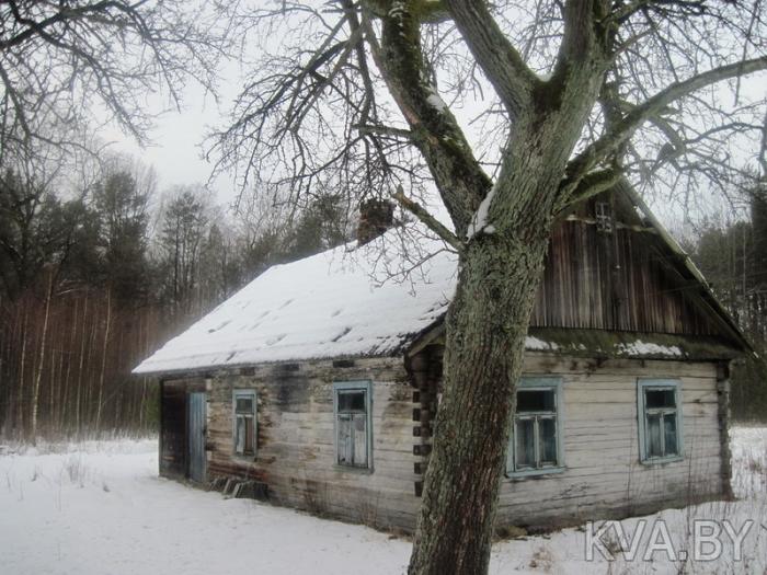 Дом брестском районе. Хутор в Белоруссии. Дома на хуторе. Дом на хуторе в Белоруссии. Хутора Белоруссии фото.