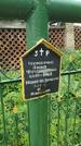 Захоронение ID 194053