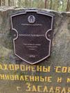 Братская могила д. Крыжовка 5336
