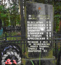 Братская могила д. Гребенка 878