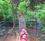 Индивидуальная могила  д. Амнишево 1016