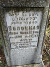 Захоронение ID 232206