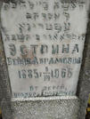 Захоронение ID 234581