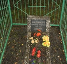 Индивидуальная могила  г. п. Плещеницы 944