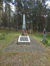 Братская могила  г. п. Домачево 4563