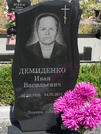 Захоронение ID 990420