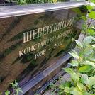 Захоронение ID 1263877